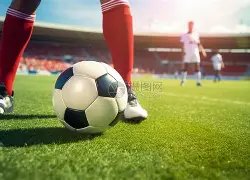 常规赛,广东东阳光,力克吉林九,万博manbetx体育平台,万博体育官网,万博体育app下载,ManBetX,SPORTS