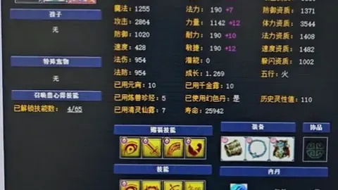 五连霸征程，风暴队对决女武神战队深度解析